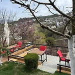 Guest house Ilvi 3*