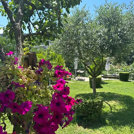 Ilvi 3* Gjirokastër