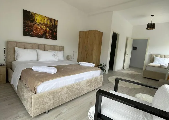 招待所 Ilvi Gjirokastër