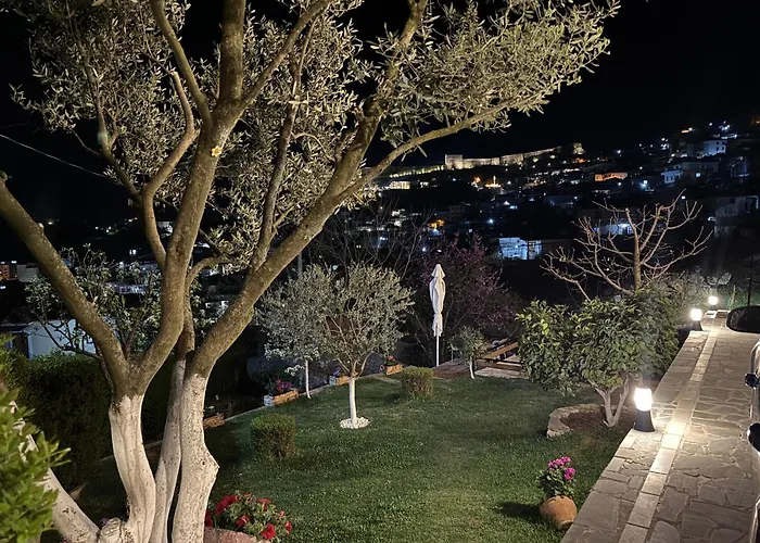 Ilvi Gjirokastër